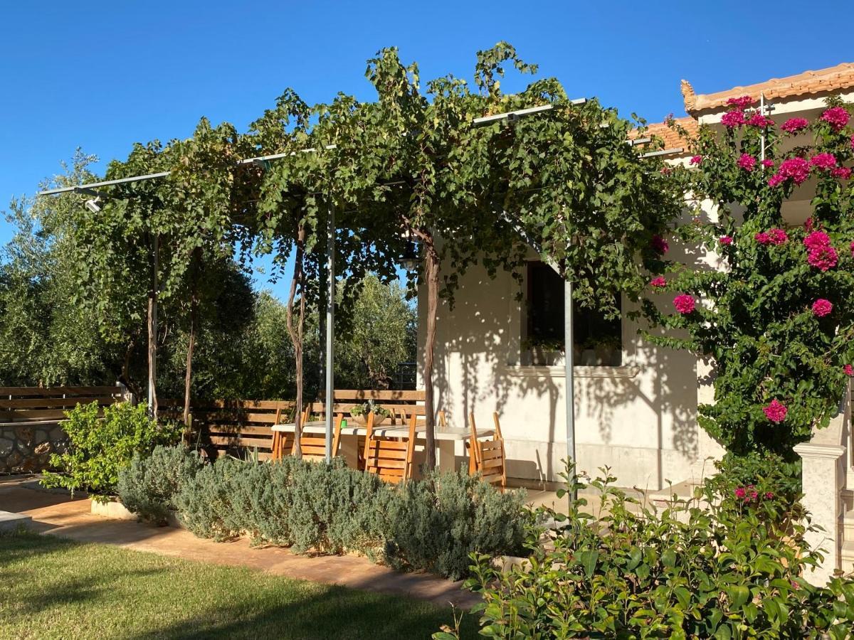 Villa Serenity Agia Marina  ภายนอก รูปภาพ