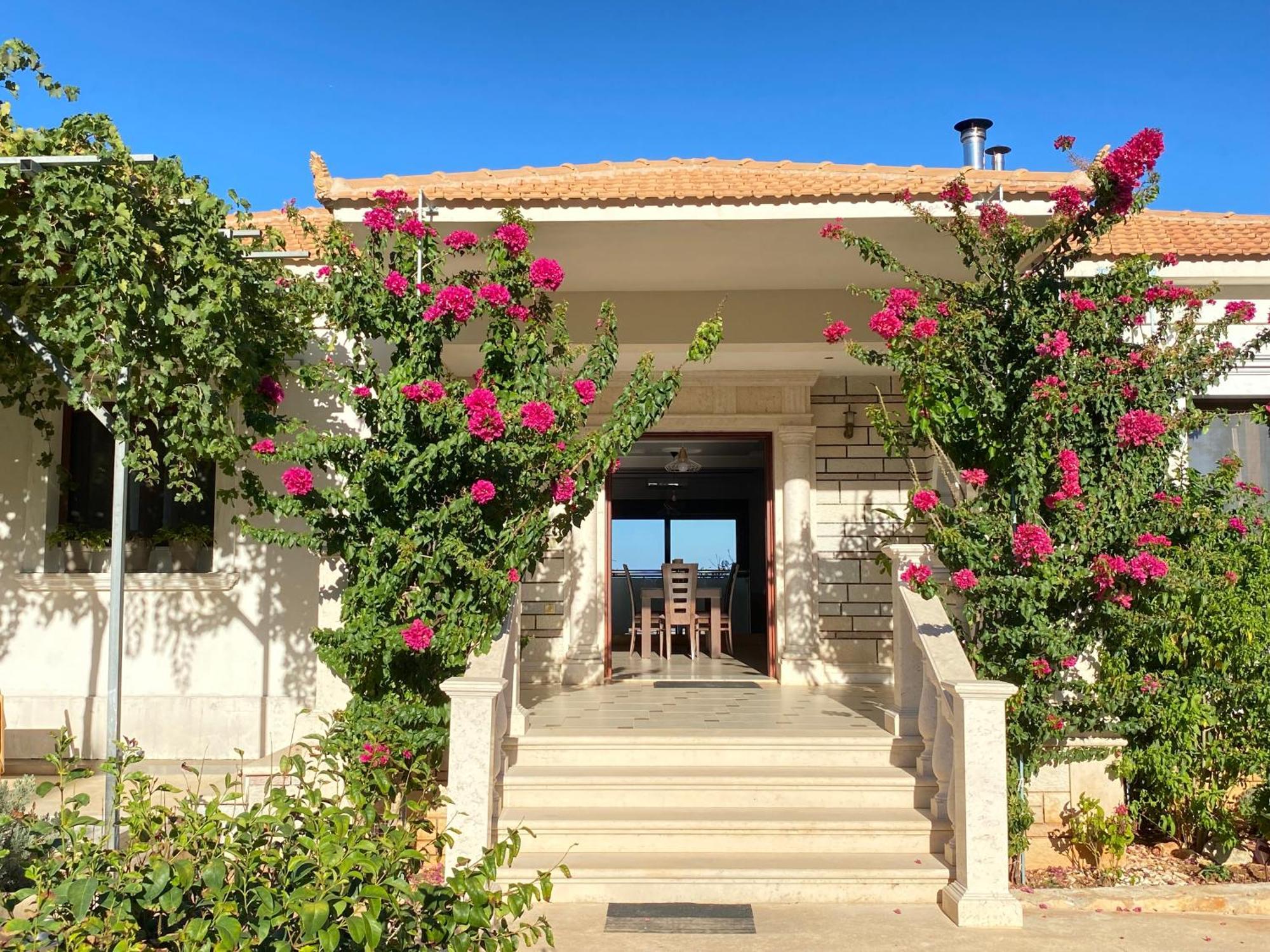 Villa Serenity Agia Marina  ภายนอก รูปภาพ